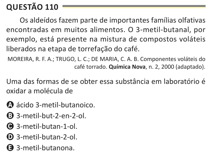 Questão 110 do ENEM 2025, aplicação de Belém, como saiu no caderno de prova