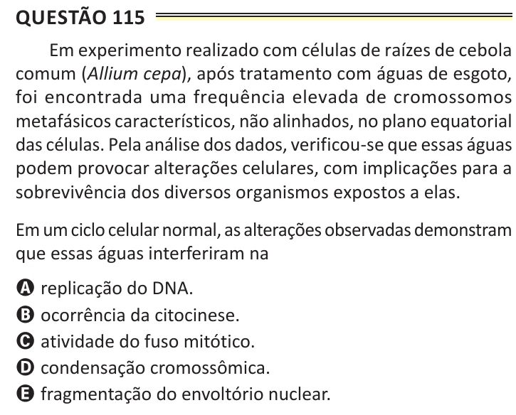 Questão 115 do ENEM 2025, aplicação de Belém, como saiu no caderno de prova