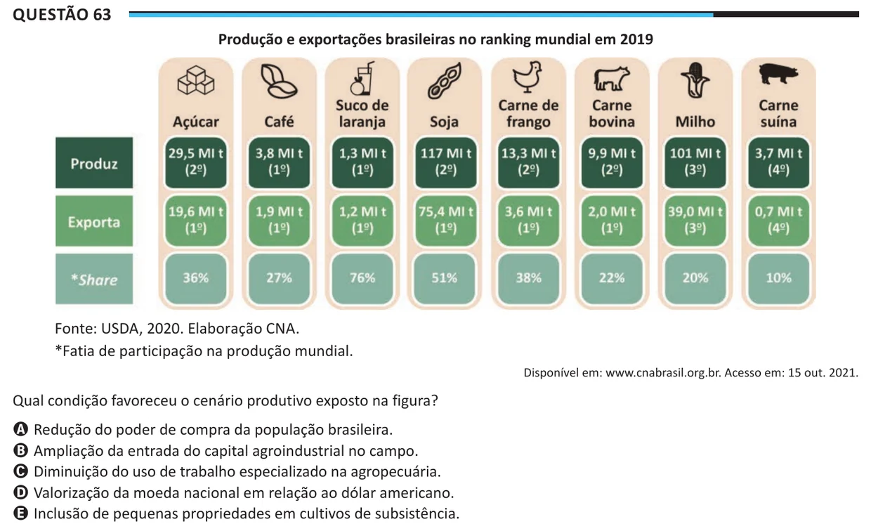 Questão 63 do ENEM 2025, aplicação regular, como saiu no caderno de prova