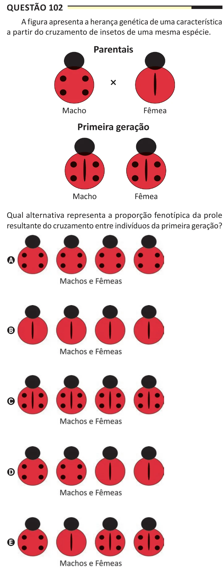 Questão 102 do ENEM 2025, aplicação regular, como saiu no caderno de prova