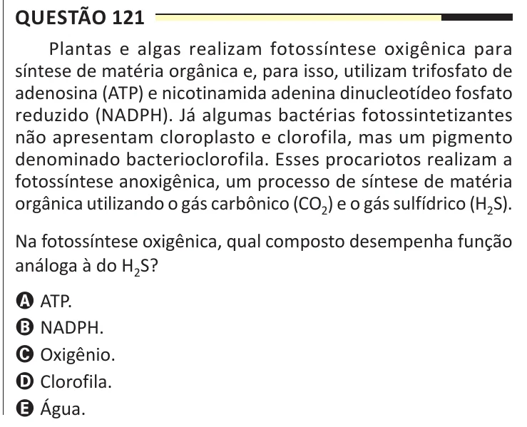 Questão 121 do ENEM 2025, aplicação regular, como saiu no caderno de prova
