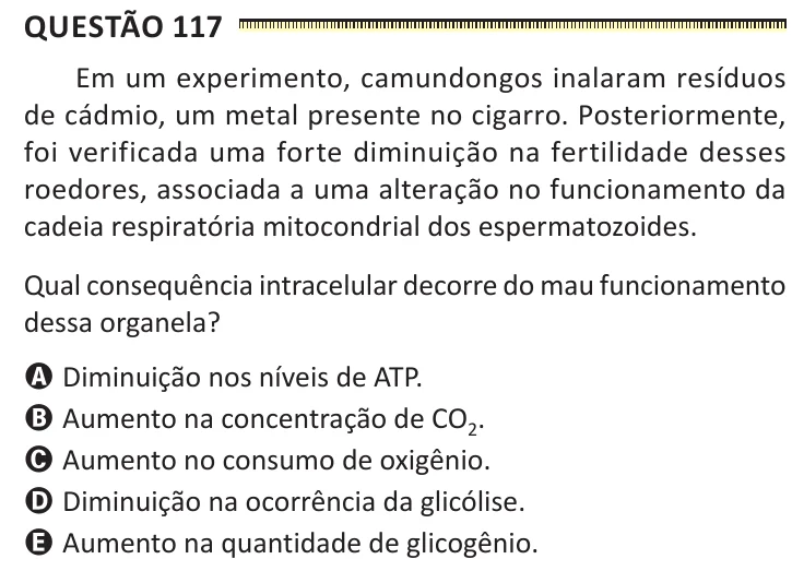 Questão 117 do ENEM 2025, segunda aplicação, como saiu no caderno de prova