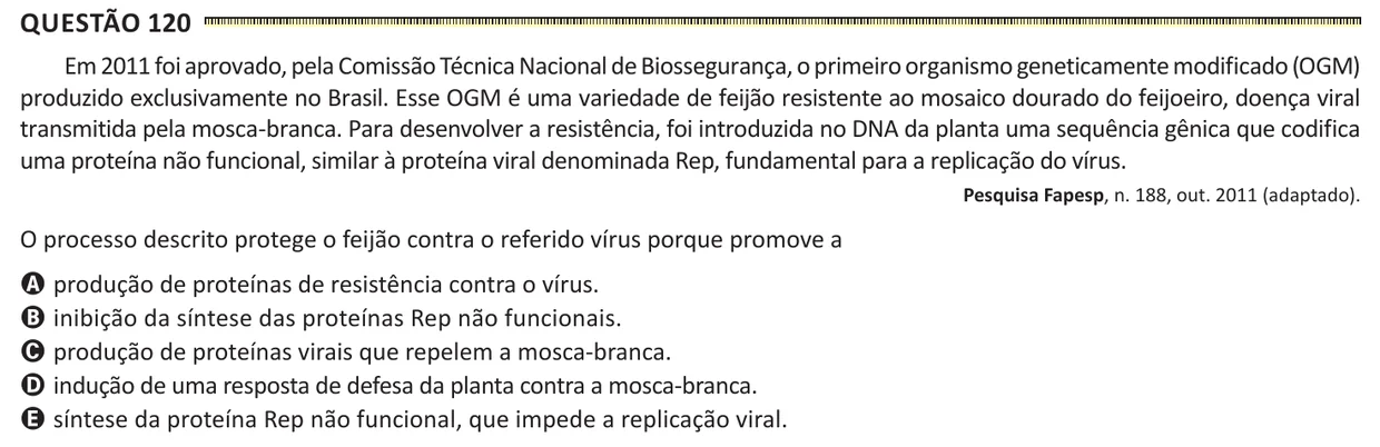 Questão 120 do ENEM 2025, segunda aplicação, como saiu no caderno de prova